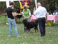 img 106